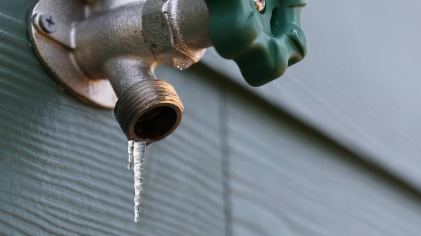 Best Clogged Drain Plumber  in Williamsville, NY